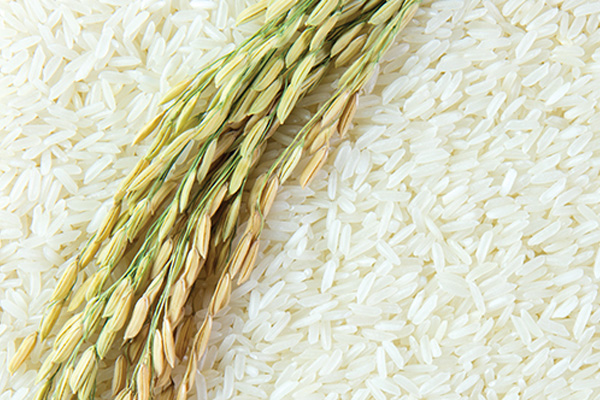 قیمت فروش انواع برنج ایرانی