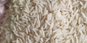 قیمت خرید برنج راتون دونوج برنج دوباره چین
