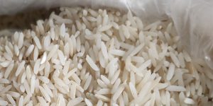 قیمت خرید برنج راتون دونوج برنج دوباره چین