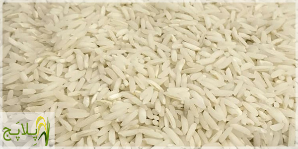 لیست قیمت و خرید برنج کشت اول درجه یک