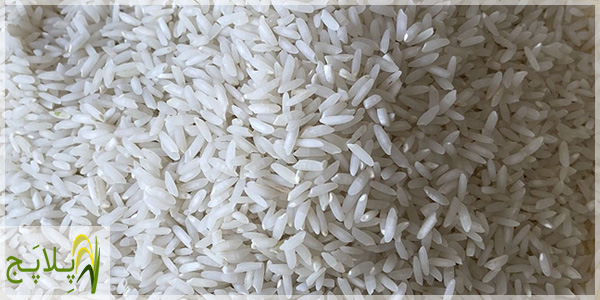 لیست قیمت و خرید برنج کشت دوم درجه یک