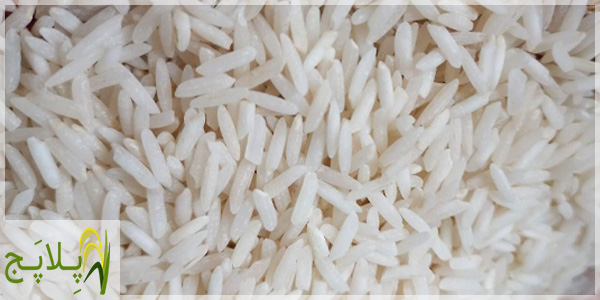 قیمت و خرید برنج طارم ندا استخوانی