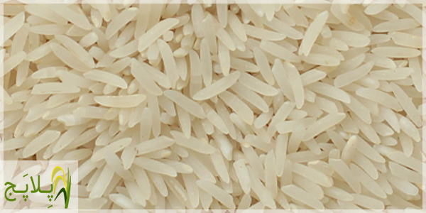 قیمت و خرید برنج طارم فجر سوزنی درجه یک